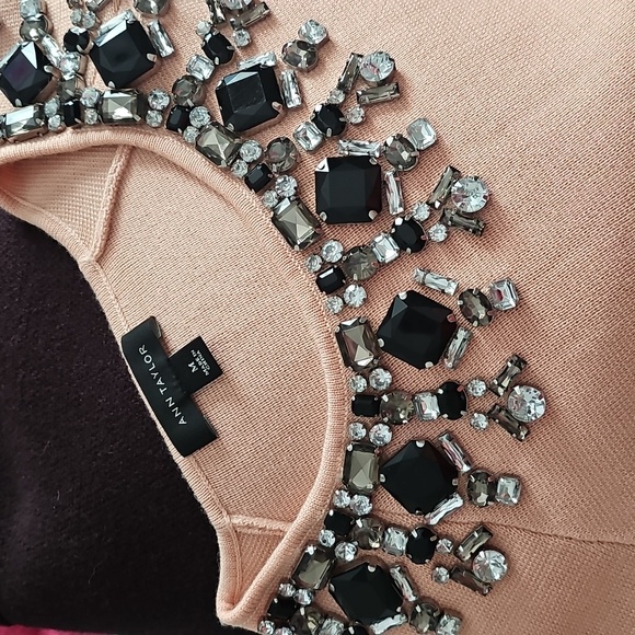 Ann Taylor Pink Embellished Crew Neck Sweater - Picture 6 of 6